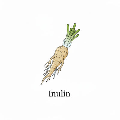 Inulin (Jerusalem Artichoke Root)
