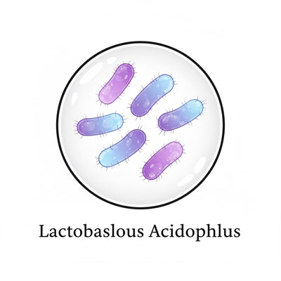 Lactobacillus Acidophilus LA85
