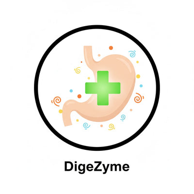 DigeZyme