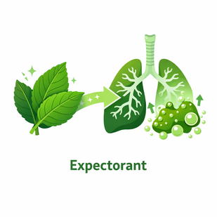 Loosen Stubborn Mucus