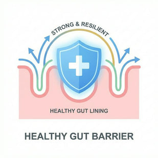 Heal & Protect
